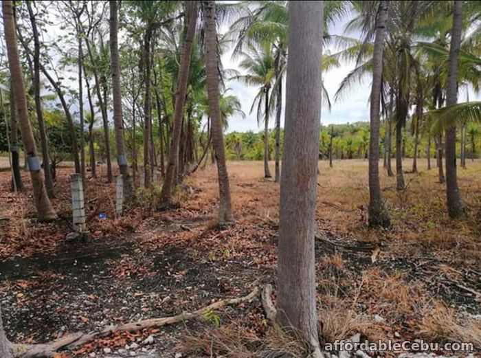 1st picture of Agri/residential lot -1.3 hectare at ₱300 per sqm in Santander Cebu OK TRADE IN For Sale in Cebu, Philippines