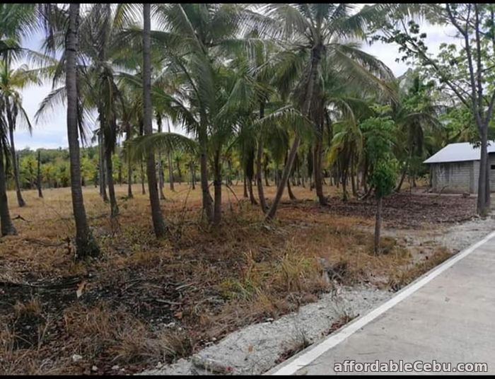 3rd picture of Agri/residential lot -1.3 hectare at ₱300 per sqm in Santander Cebu OK TRADE IN For Sale in Cebu, Philippines
