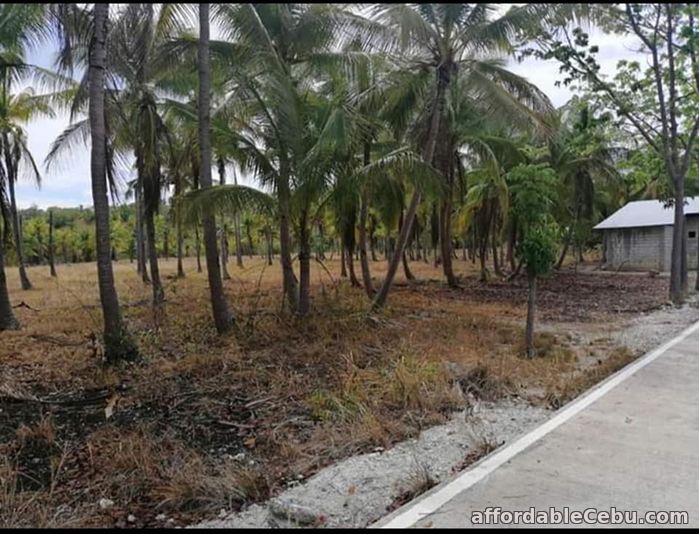 5th picture of Agri/residential lot -1.3 hectare at ₱300 per sqm in Santander Cebu OK TRADE IN For Sale in Cebu, Philippines