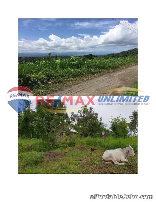 4th picture of For Sale Lot in Paraiso, Lemery Batangas For Sale in Cebu, Philippines