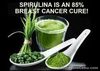Zynergia Twingreen Spirulina + Chlorella