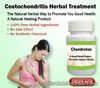 Herbal Treatment for Costochondritis