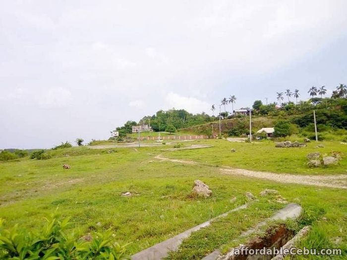 2nd picture of Rush lot for sale in Maghaway Talisay City Cebu For Sale in Cebu, Philippines