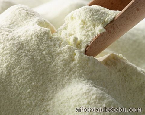 1st picture of Wholesale High Quality Camel Powder Milk Supply For Sale in Cebu, Philippines