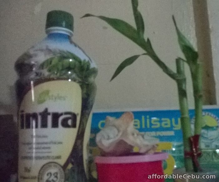 1st picture of Intra herbal juice drink discounted for Talisay, Minglanilla For Sale in Cebu, Philippines