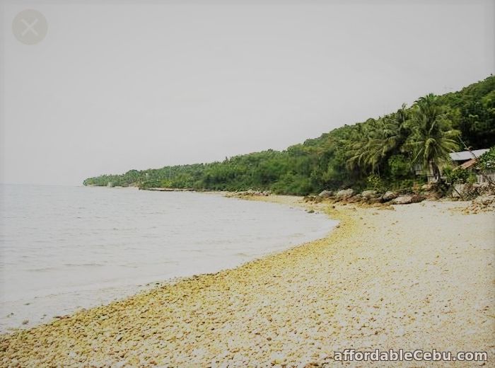 2nd picture of BEACH RESORT IN CATMON, CEBU FOR SALE!!! For Sale in Cebu, Philippines