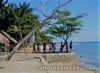 BEACH RESORT IN CATMON, CEBU FOR SALE!!!