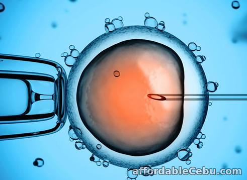 1st picture of IVF Cost in Hyderabad Offer in Cebu, Philippines