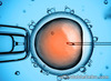 IVF Cost in Hyderabad