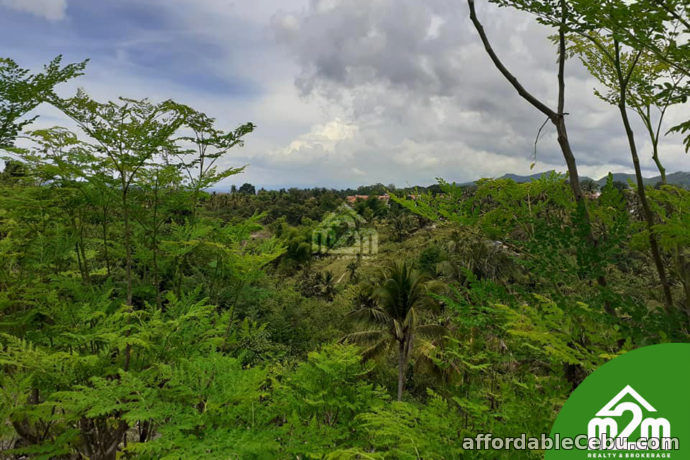 5th picture of Marian Residences(LOT ONLY) Vito, Minglanilla Cebu For Sale in Cebu, Philippines