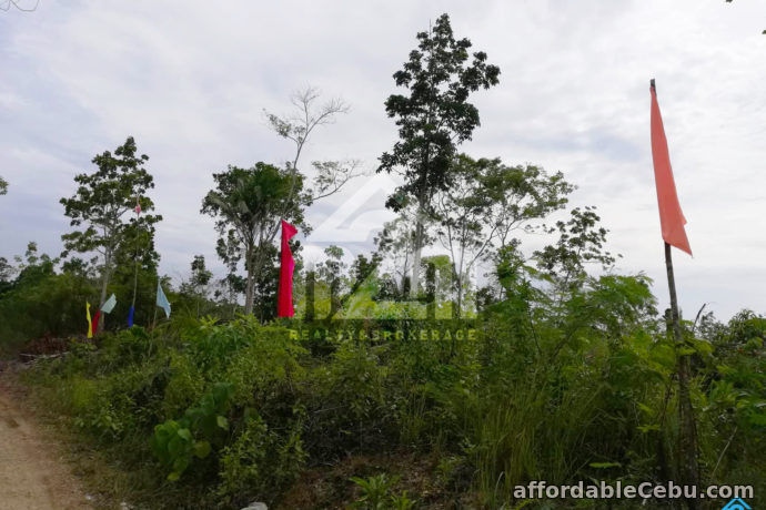 4th picture of Vida Feliz Subdivision(LOT ONLY)Cabawan, Tagbilaran, null, Bohol, Philipines For Sale in Cebu, Philippines