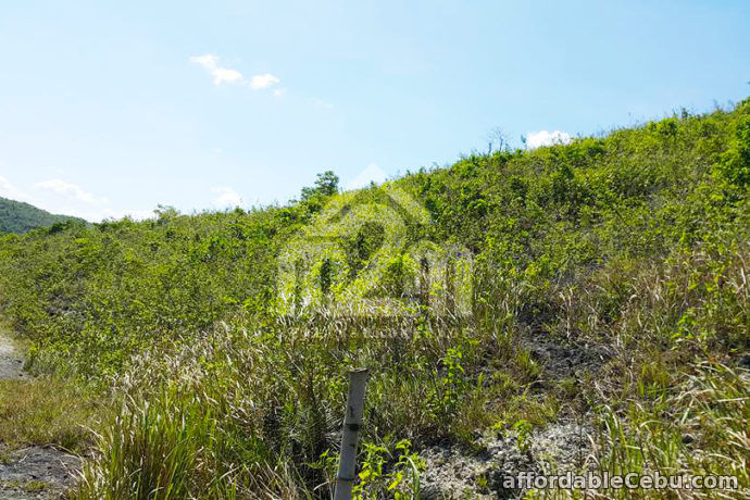 4th picture of Mountain Breeze(LOT ONLY) Sandayong Sur, Danao City For Sale in Cebu, Philippines