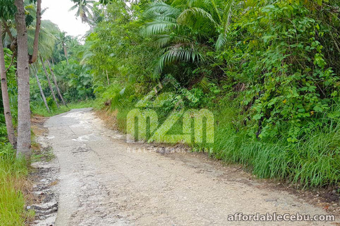 5th picture of Amaziah Residences(LOT ONLY) Bagalnga, Compostela For Sale in Cebu, Philippines