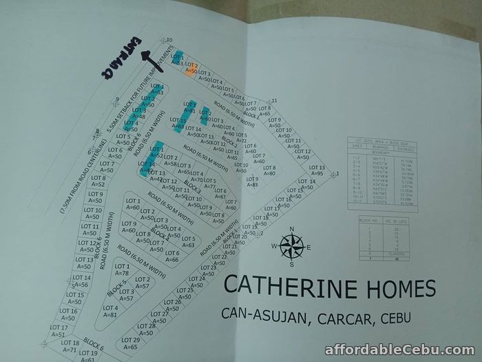 5th picture of Catherine Homes(LOT ONLY) Can-Asujan, Carcar City, Cebu For Sale in Cebu, Philippines