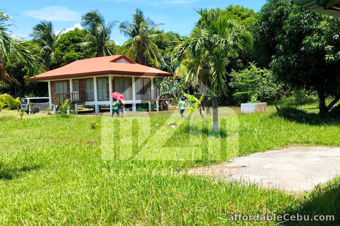 2nd picture of Del Carmen Sands(BEACH LOT RESIDENTIAL) San Remigio, Cebu For Sale in Cebu, Philippines