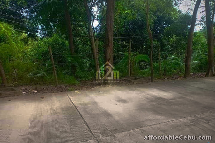 5th picture of Buena Vida Heights(LOT ONLY) Cambanay Danao, Cebu City For Sale in Cebu, Philippines