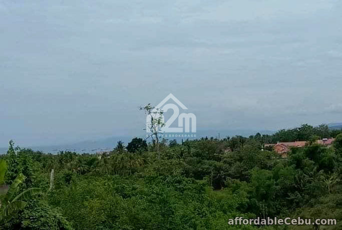 4th picture of Marian Residences(LOT ONLY) Vito, Minglanilla Cebu For Sale in Cebu, Philippines