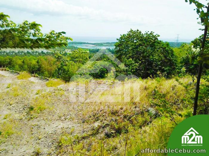 2nd picture of Top Ville Subdivision(LOT ONLY) Can-asujan,Carcar, Cebu For Sale in Cebu, Philippines