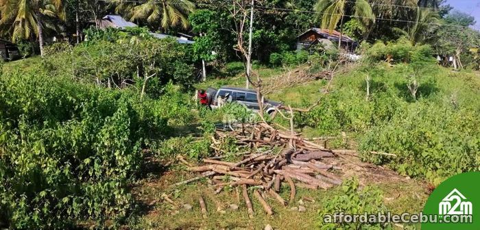 3rd picture of Mia Verde Subdivision(LOT ONLY) San Isidro, Baclayon, Bohol, Philipines For Sale in Cebu, Philippines