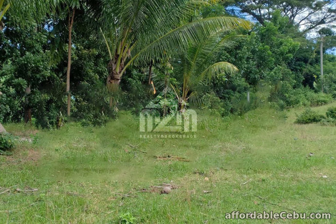 3rd picture of Danrio Grande Subdivision(LOT ONLY) Sitio Lupa, Buenavista, Carcar City For Sale in Cebu, Philippines