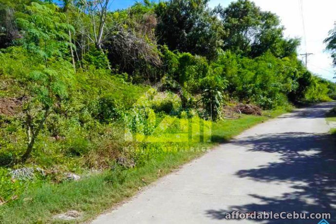 3rd picture of Vista Del Mari(LOT ONLY) Tamiao, Compostela, Cebu City For Sale in Cebu, Philippines