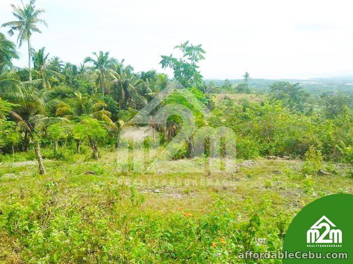 5th picture of Top Ville Subdivision(LOT ONLY) Can-asujan,Carcar, Cebu For Sale in Cebu, Philippines