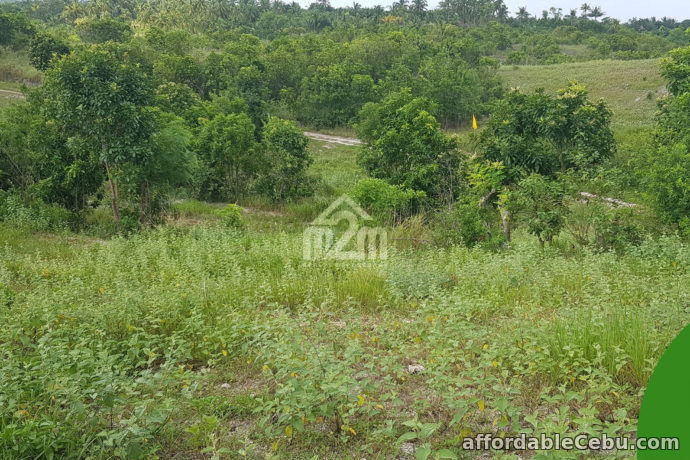 3rd picture of La Verna Residences(LOT ONLY) Brgy. Can-asujan, Carcar City, Cebu For Sale in Cebu, Philippines