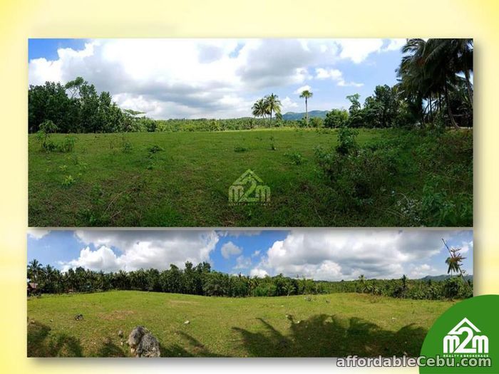 3rd picture of San Isidro Enclave(LOT ONLY) Calidngan, Carcar City, Cebu For Sale in Cebu, Philippines