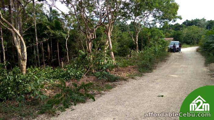 1st picture of Fermosa Vue(LOT ONLY) La Libertad, Baclayon, Bohol, Philipines For Sale in Cebu, Philippines