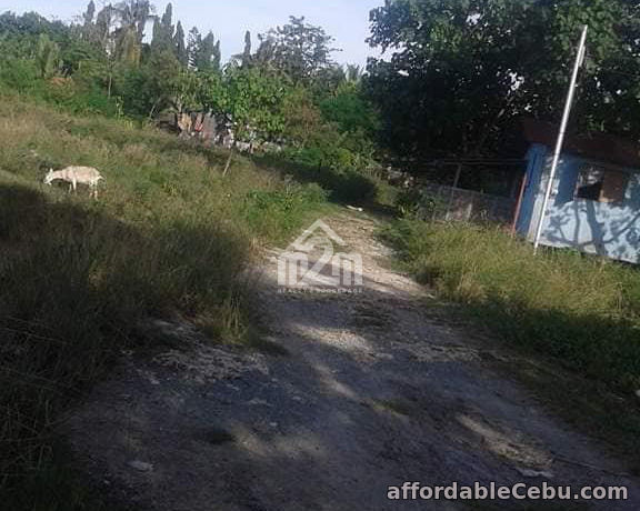 2nd picture of Villa Aser Subdivision(LOT ONLY) Litob Kalawisan, Lapu Lapu, Cebu, Philipines For Sale in Cebu, Philippines