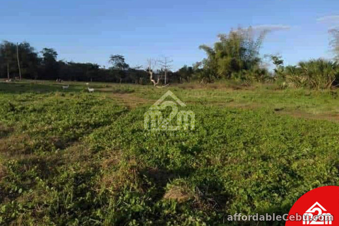 4th picture of Brentville Bogo(LOT ONLY) Pulambato Bogo City, Cebu For Sale in Cebu, Philippines