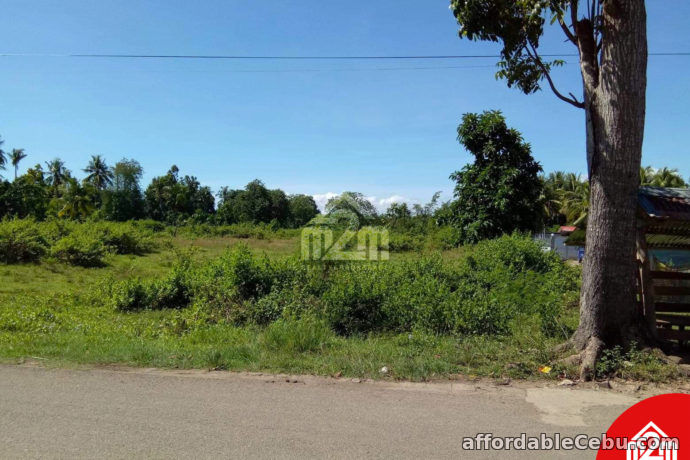 4th picture of Erizo De Mar Subdivision(LOT ONLY) Brgy. Tuyom, Carcar City, Cebu For Sale in Cebu, Philippines