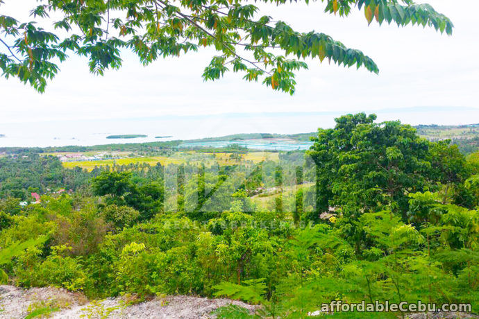 3rd picture of Mountain Tops Subdivision(LOT ONLY) Bonsai Bolinawan, Carcar For Sale in Cebu, Philippines