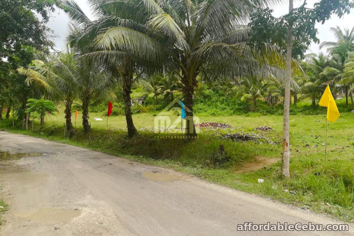 4th picture of Danrio Grande Subdivision(LOT ONLY) Sitio Lupa, Buenavista, Carcar City For Sale in Cebu, Philippines