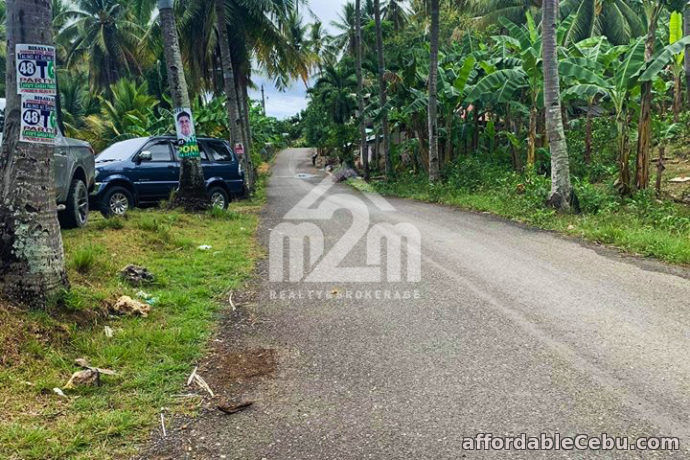 2nd picture of Zoilon Farm Ville(LOT ONLY) Ipil Carmen, Cebu City For Sale in Cebu, Philippines