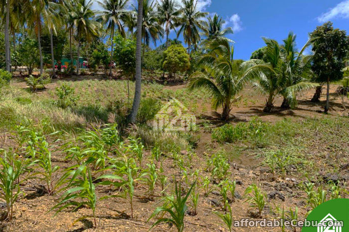 2nd picture of North Meadows Subdivision(LOT ONLY) Carmen, Cebu City For Sale in Cebu, Philippines