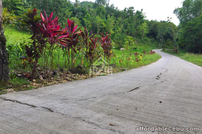 3rd picture of Vinnare Heights Subdivision(LOT ONLY) Basak Compostela, Cebu For Sale in Cebu, Philippines