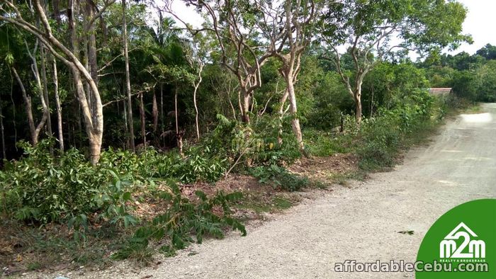 4th picture of Fermosa Vue(LOT ONLY) La Libertad, Baclayon, Bohol, Philipines For Sale in Cebu, Philippines