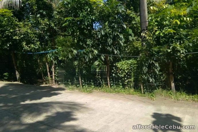 2nd picture of Buena Vida Heights(LOT ONLY) Cambanay Danao, Cebu City For Sale in Cebu, Philippines