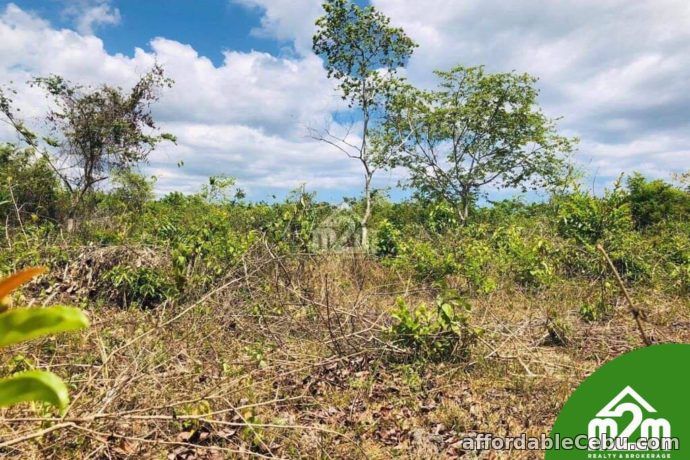 4th picture of Cloverville Subdivision(LOT ONLY) Totolan, Dauis, Bohol For Sale in Cebu, Philippines