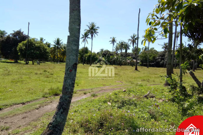 2nd picture of Erizo De Mar Subdivision(LOT ONLY) Brgy. Tuyom, Carcar City, Cebu For Sale in Cebu, Philippines