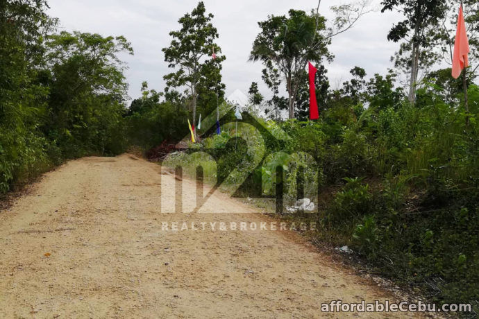 3rd picture of Vida Feliz Subdivision(LOT ONLY)Cabawan, Tagbilaran, null, Bohol, Philipines For Sale in Cebu, Philippines