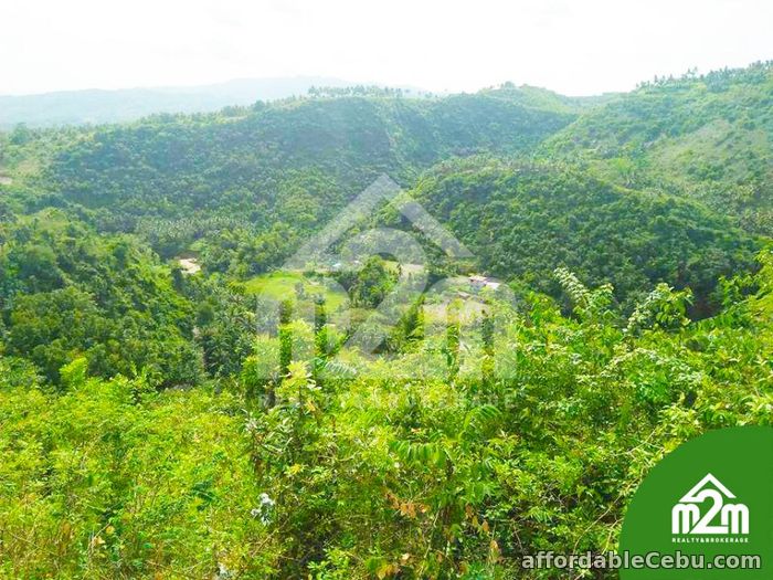 3rd picture of Top Ville Subdivision(LOT ONLY) Can-asujan,Carcar, Cebu For Sale in Cebu, Philippines