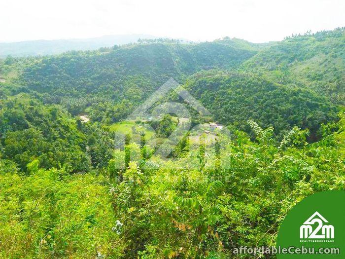 3rd picture of Top Ville Subdivision(LOT ONLY) Can-asujan,Carcar, Cebu For Sale in Cebu, Philippines