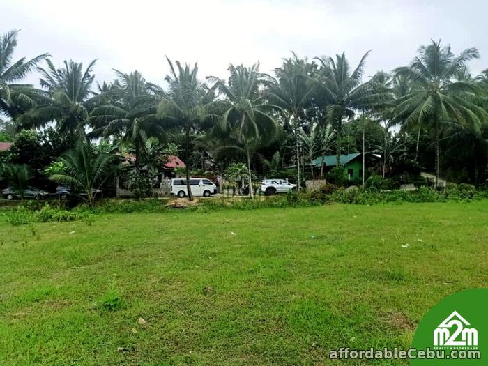 1st picture of San Isidro Enclave(LOT ONLY) Calidngan, Carcar City, Cebu For Sale in Cebu, Philippines
