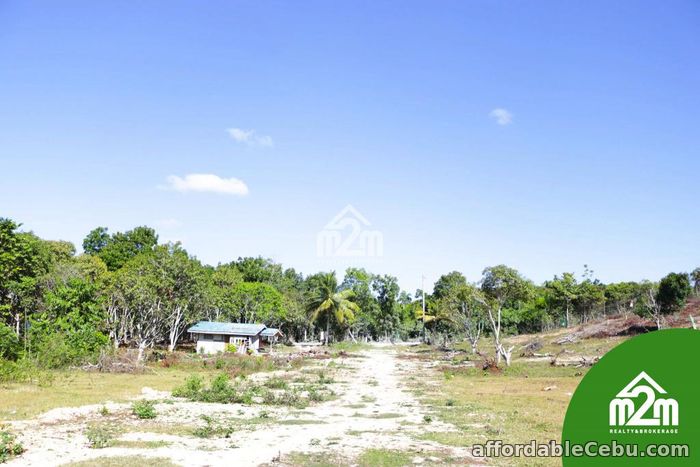 4th picture of Villa Maria Luisa(LOT ONLY) Montana, Baclayon, Bohol, Philipines For Sale in Cebu, Philippines