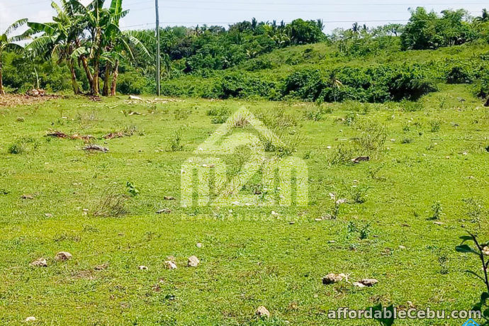 4th picture of Casa Al Mare(LOT ONLY) Brgy Hagnaya, San Remigio, Cebu For Sale in Cebu, Philippines