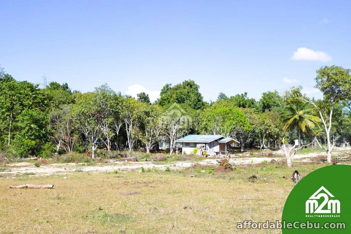 2nd picture of Villa Maria Luisa(LOT ONLY) Montana, Baclayon, Bohol, Philipines For Sale in Cebu, Philippines