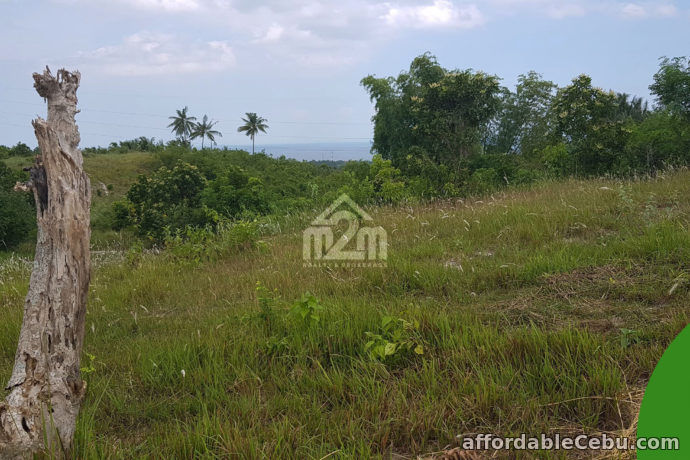 4th picture of La Verna Residences(LOT ONLY) Brgy. Can-asujan, Carcar City, Cebu For Sale in Cebu, Philippines