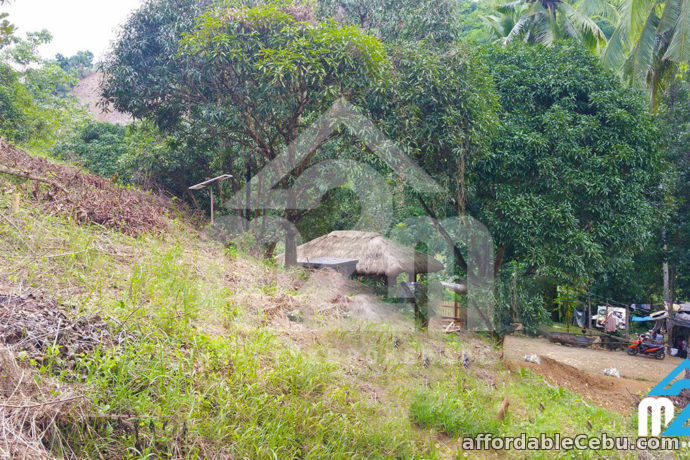 5th picture of Farmville Subdivision(LOT ONLY) Cambayog, , Compostela, Cebu, Philipines For Sale in Cebu, Philippines